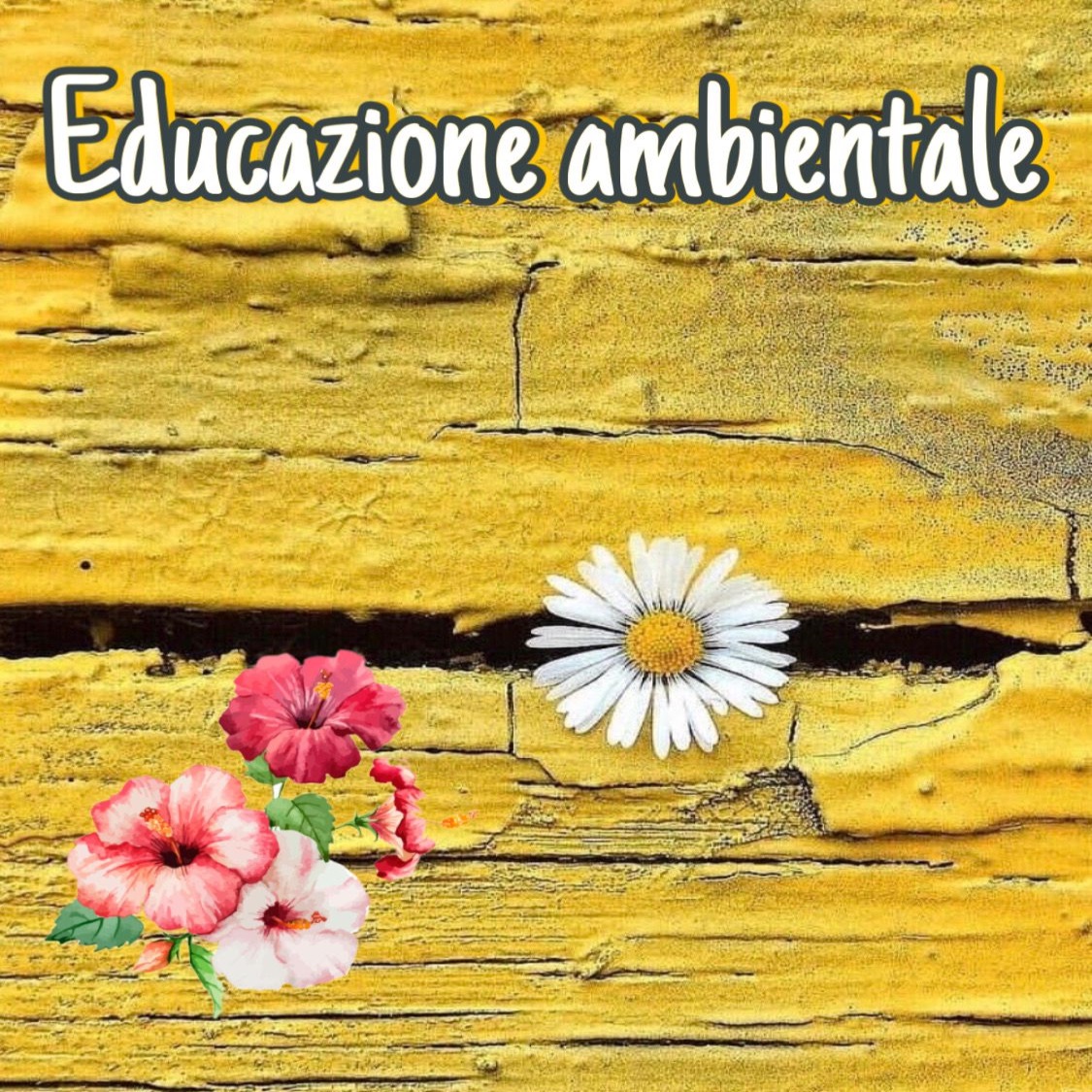 Educazione Ambientale